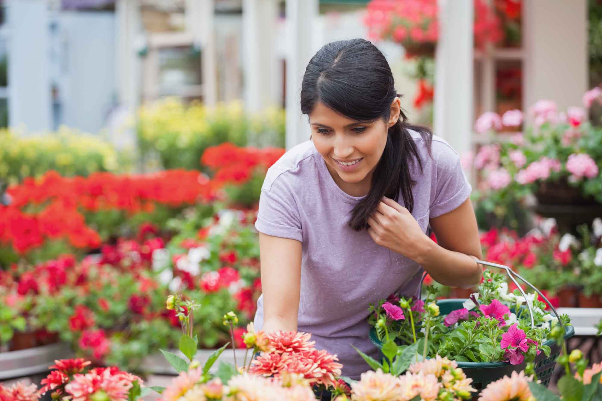 Nottinghamshire Garden Centre in Retford