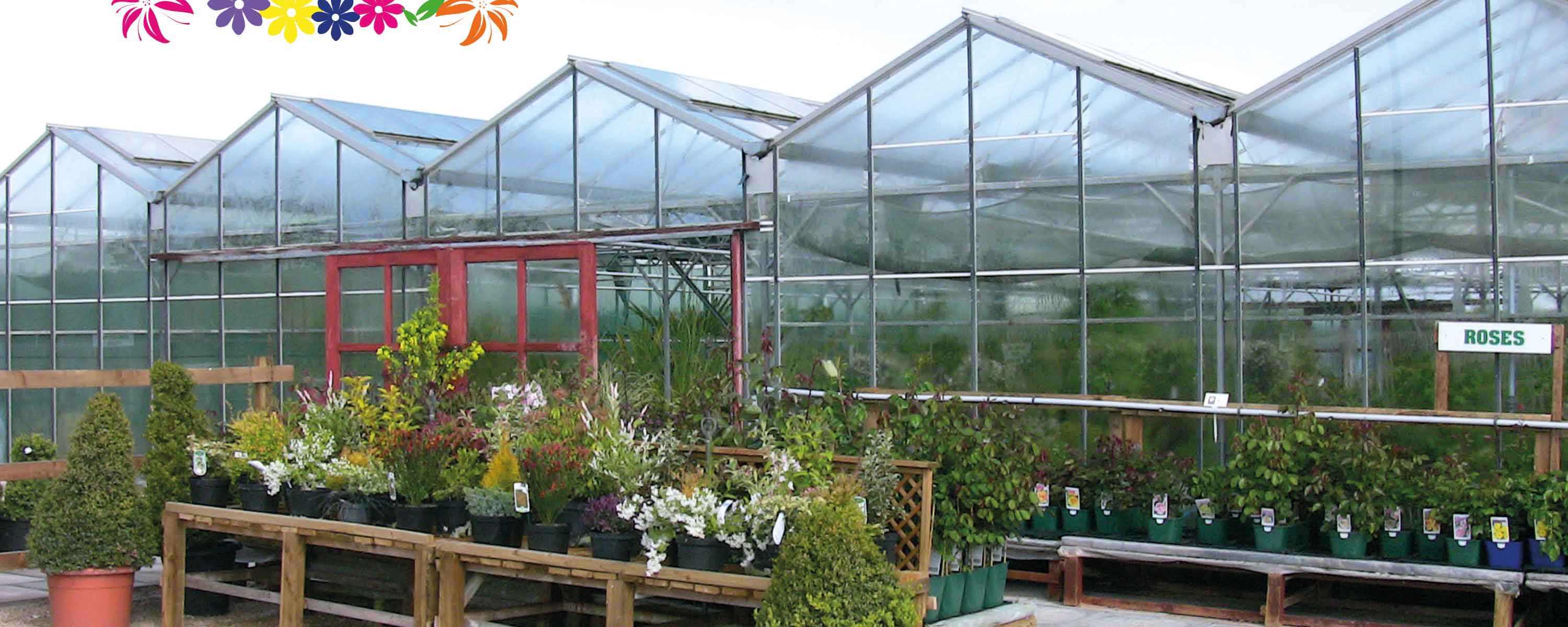 Shrubs and Trees at Windmill View Plant Centre, Notts